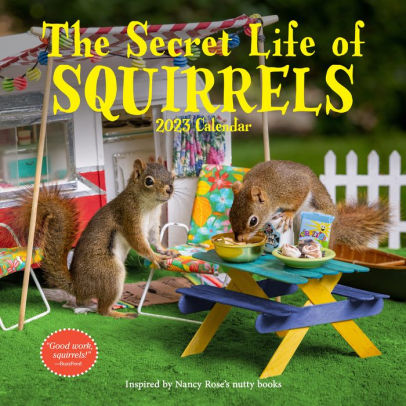 The Secret Life of Squirrels Wall Calendar 2023 - WORKMAN